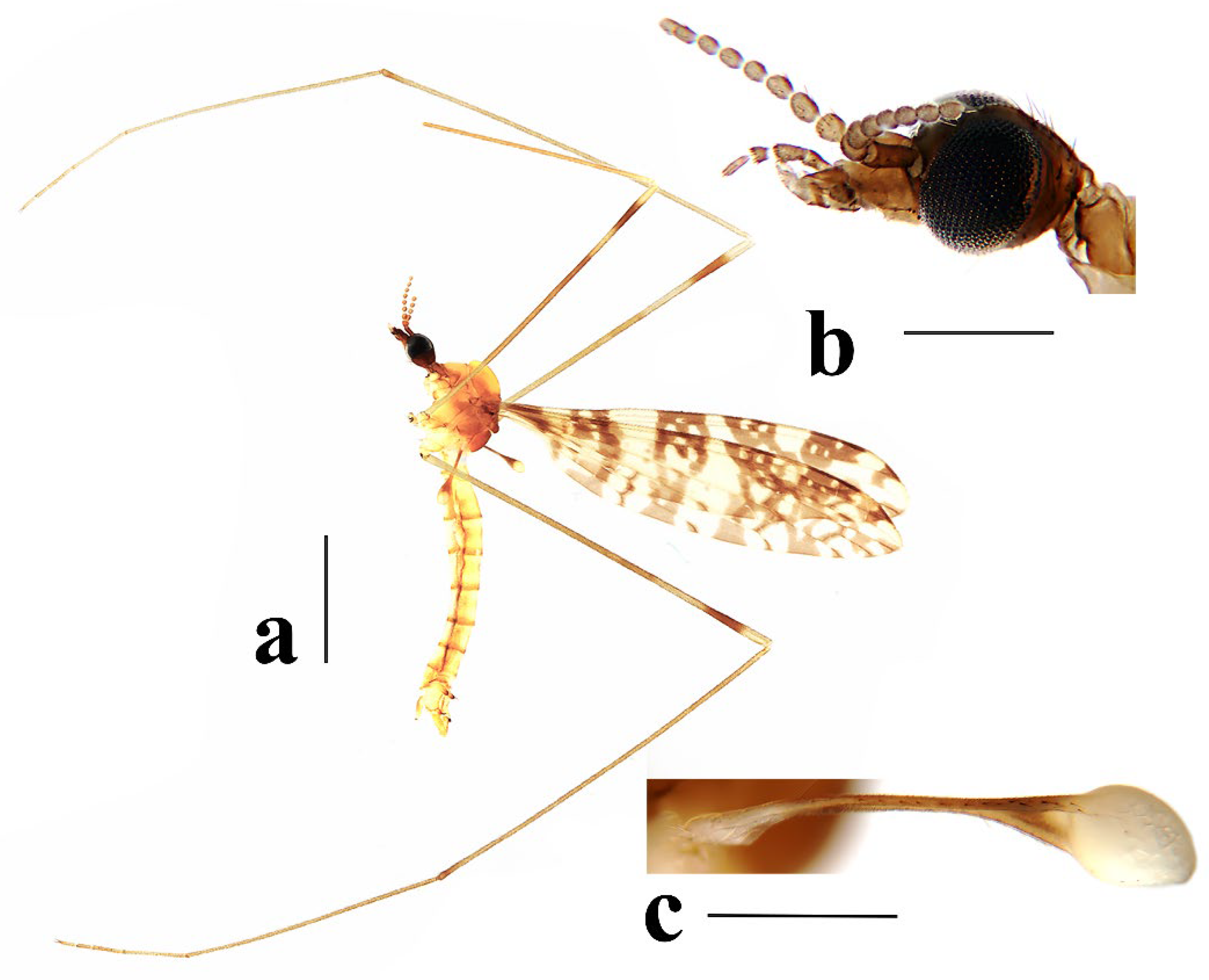 Insects 16 00845 g023