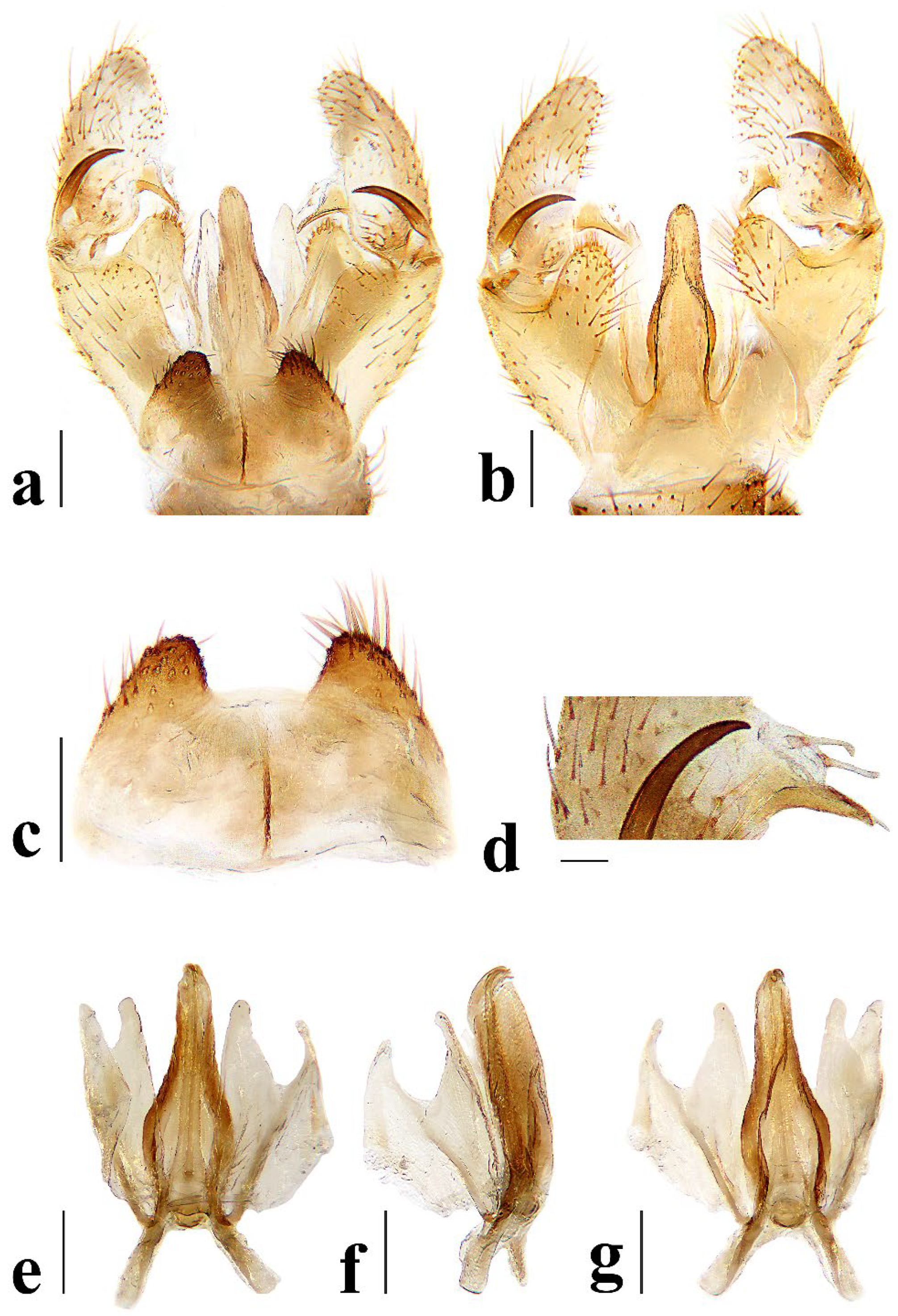 Insects 16 00845 g026