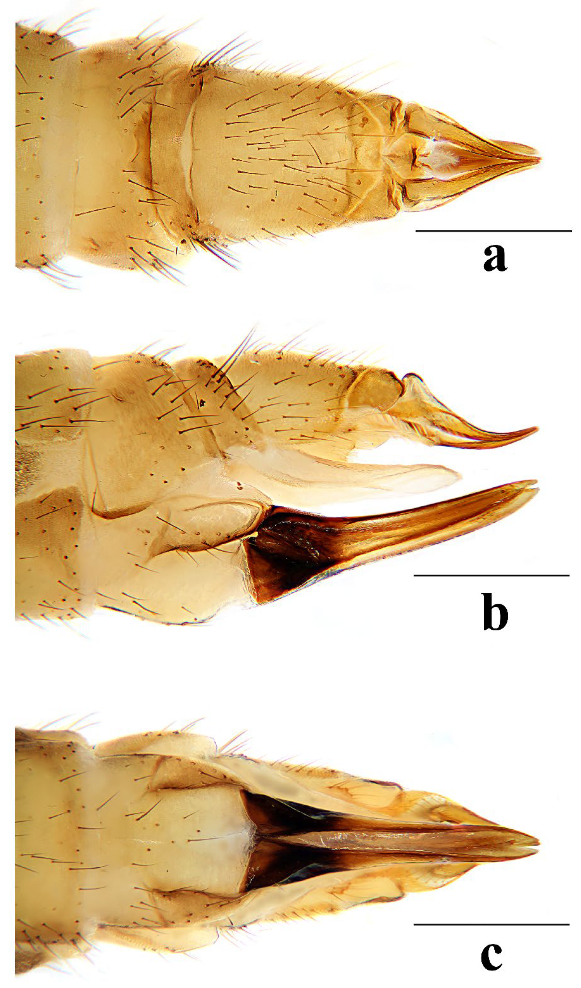 Insects 16 00845 g027