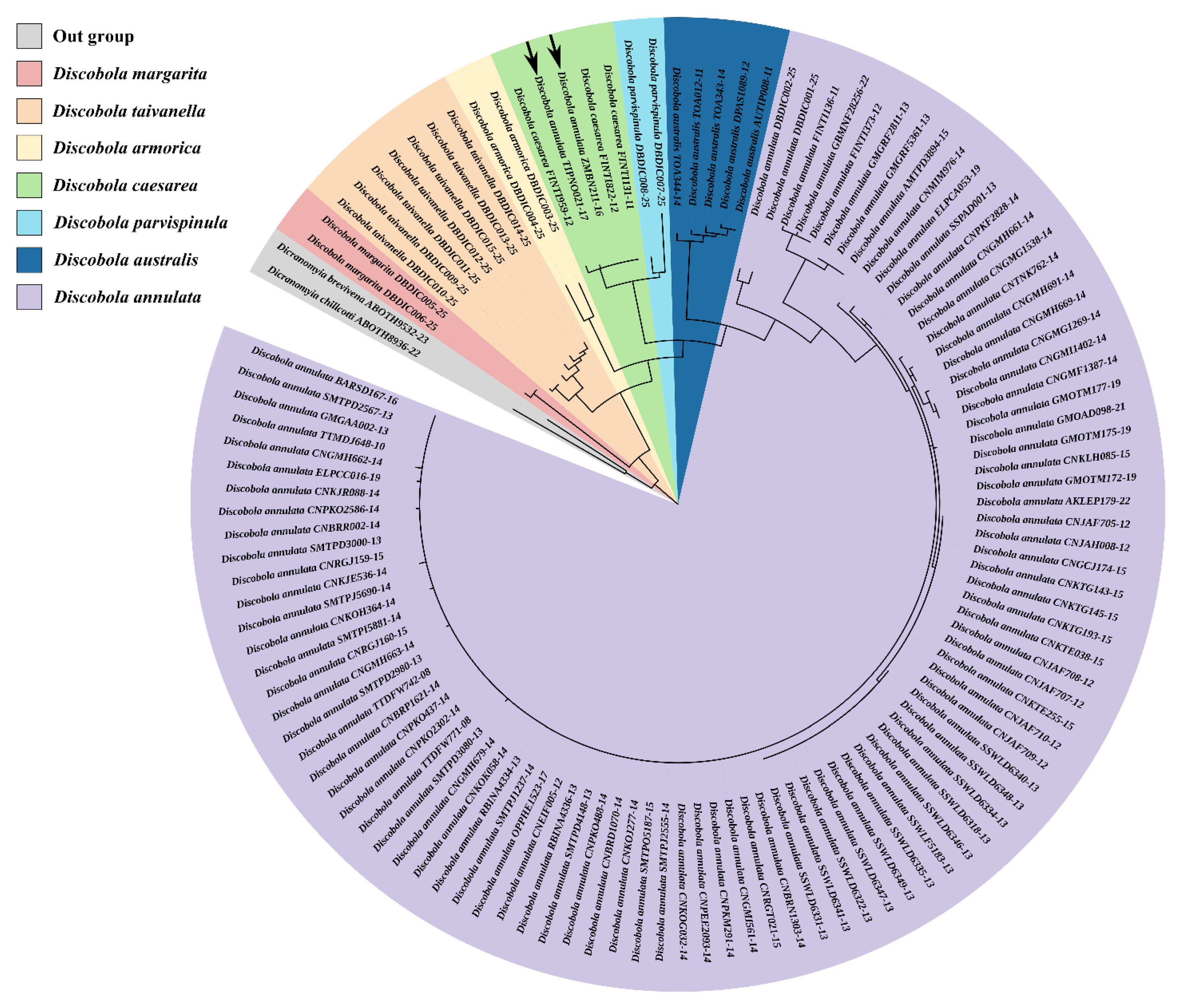 Insects 16 00845 g030