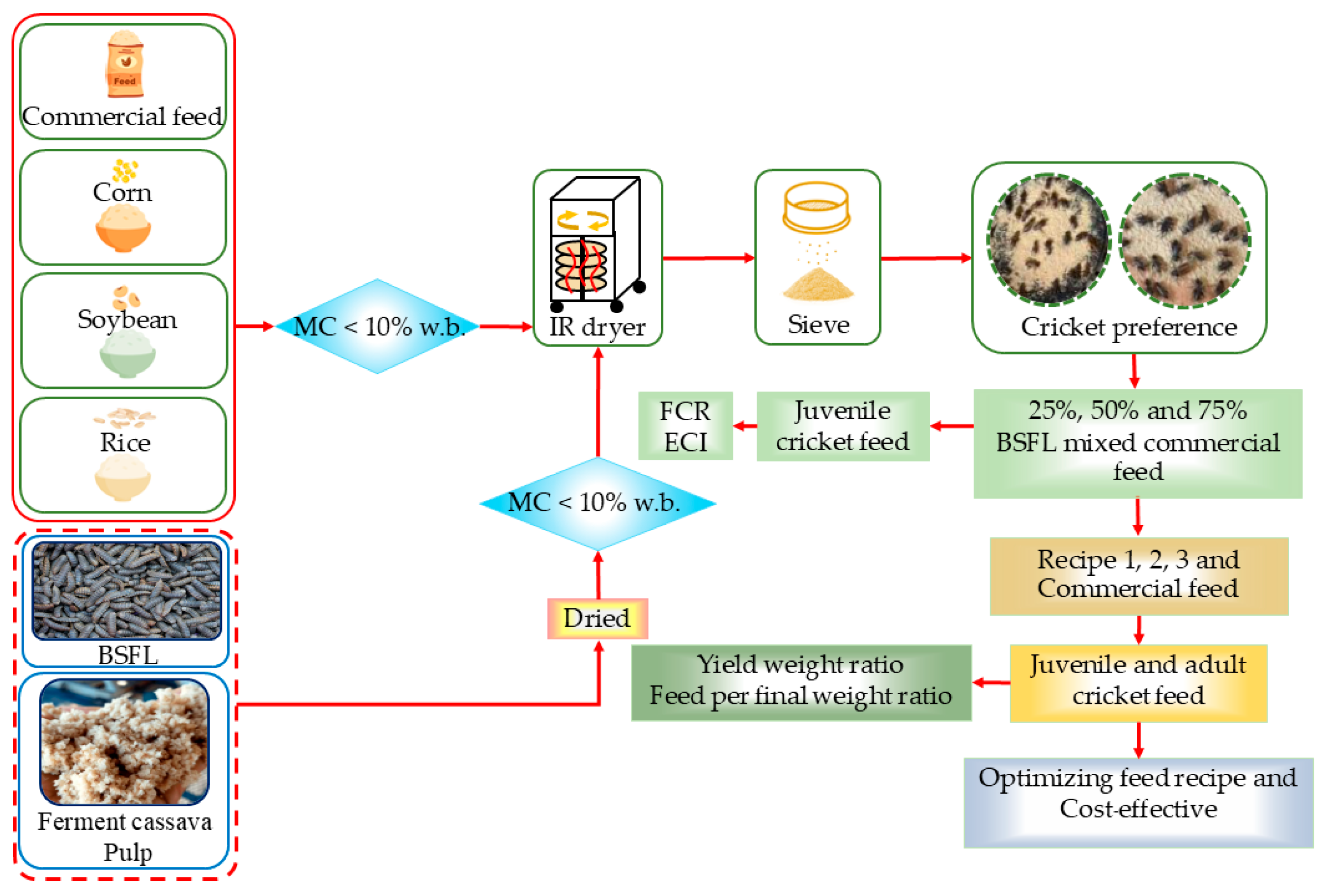 Insects 16 00856 g001