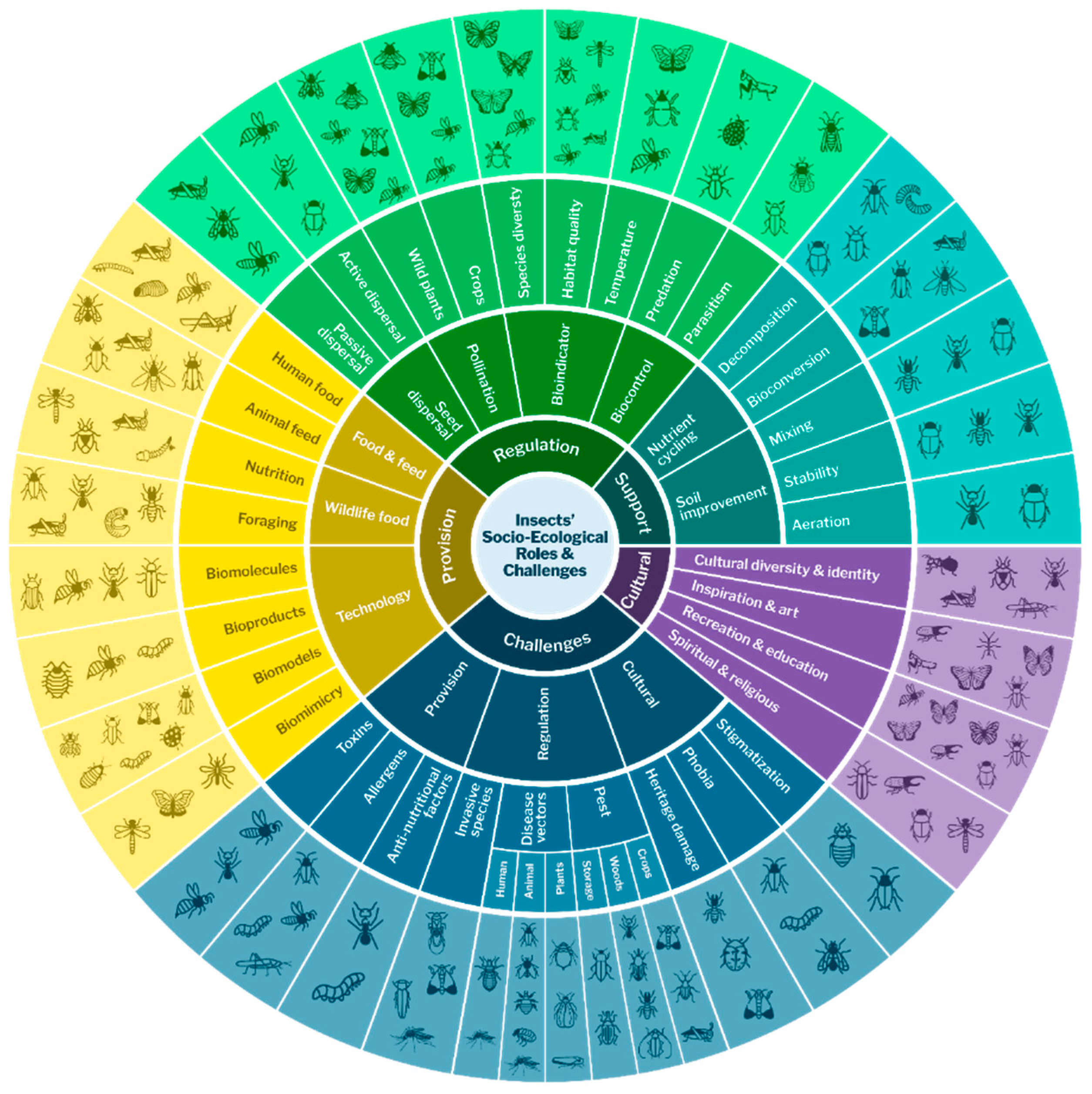 Insects 16 00866 g001