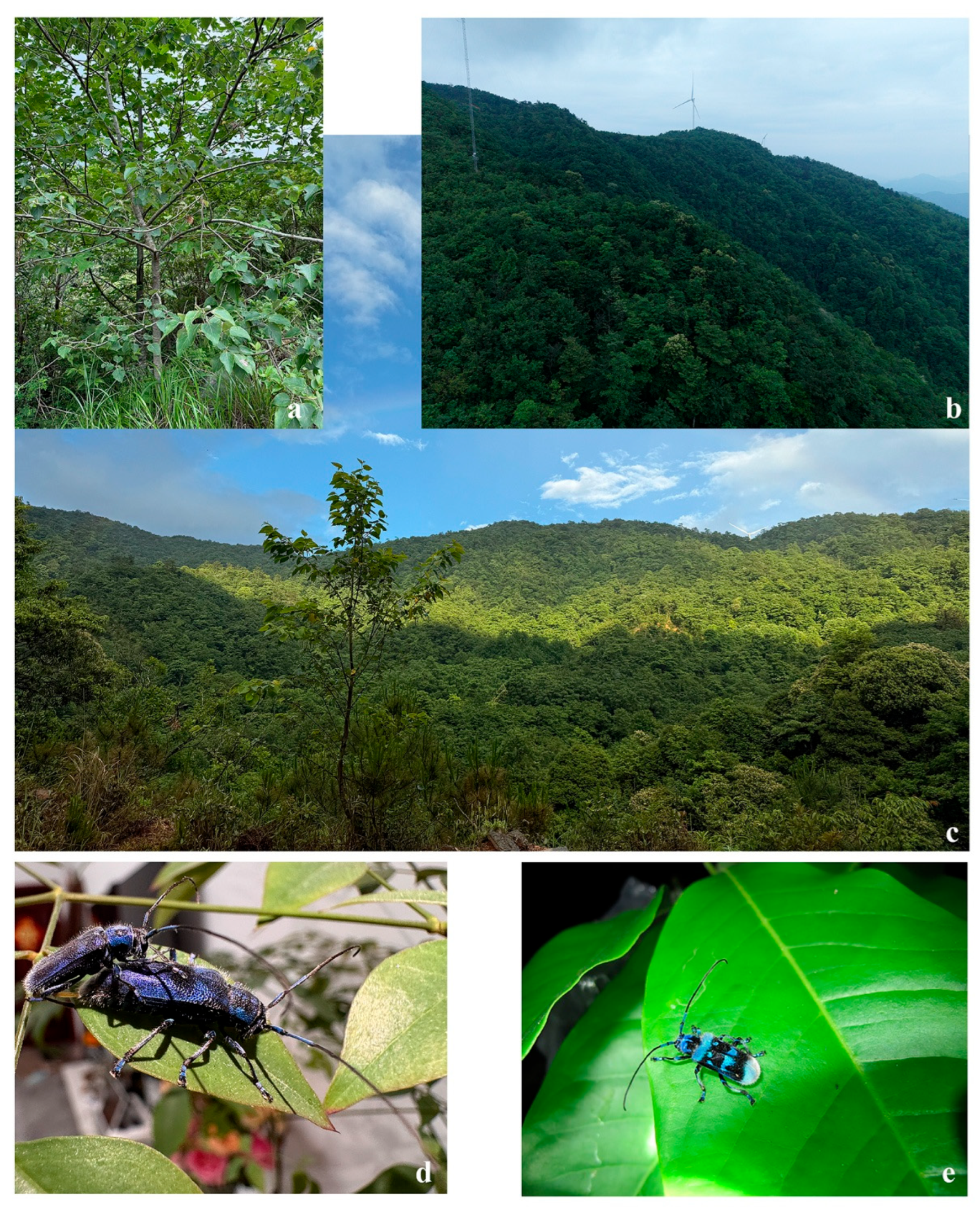 Insects 16 00867 g004