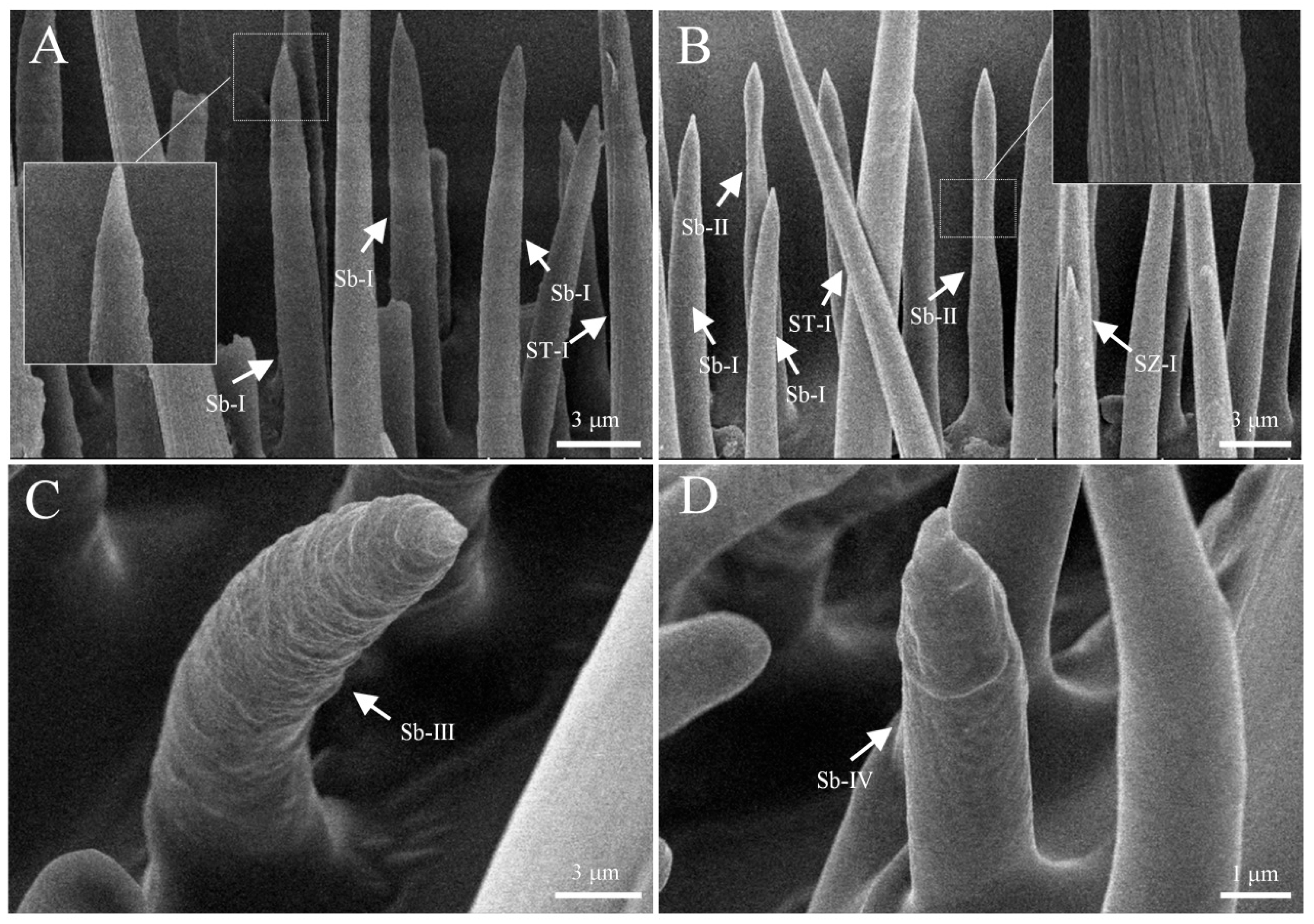 Insects 16 00890 g005 Insects 16 00890 g005