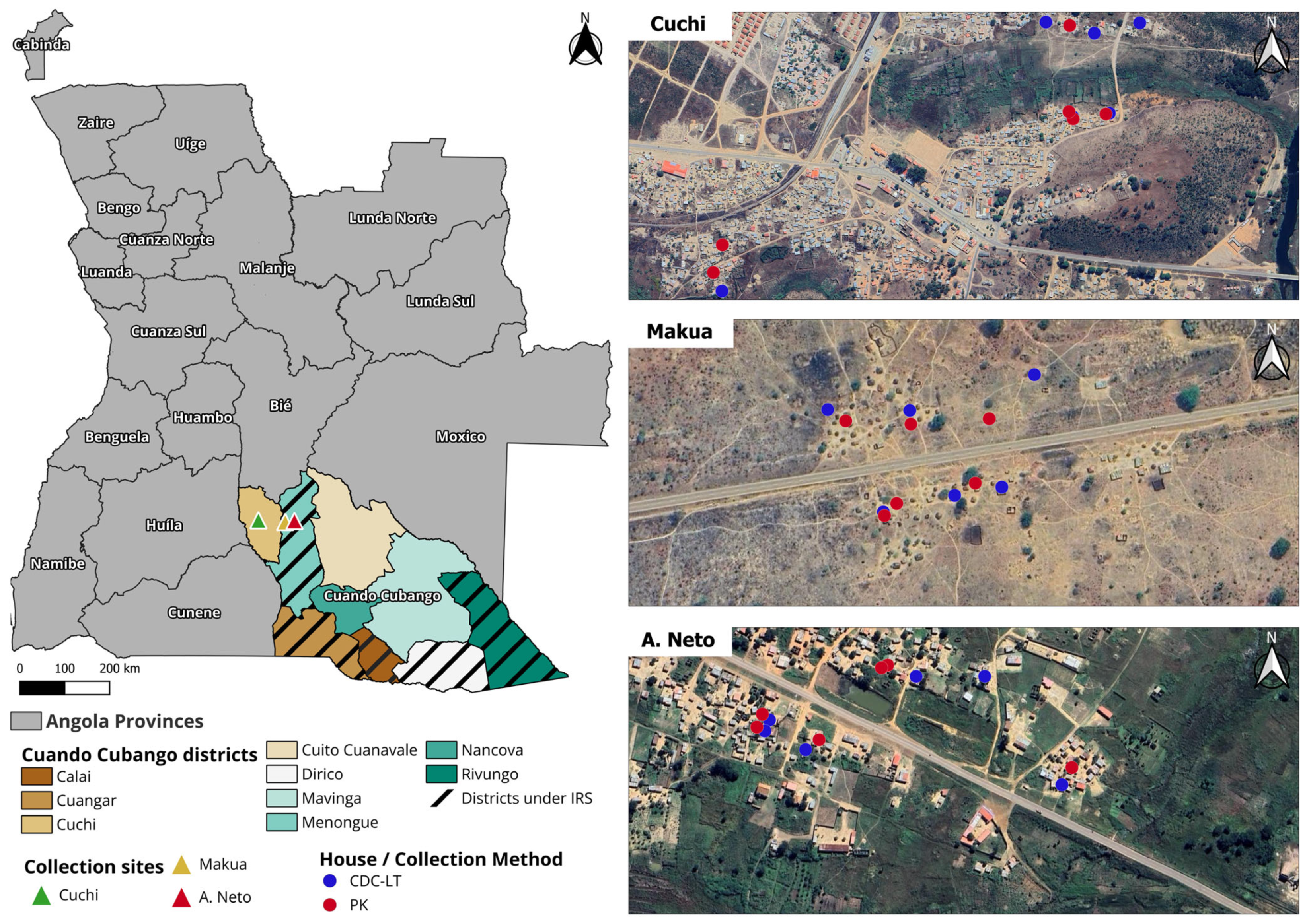 Insects 16 00892 g001