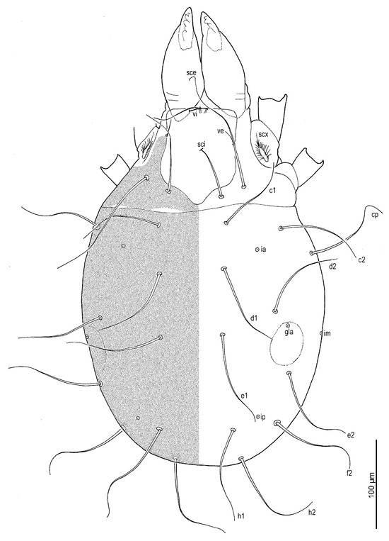 Insects 16 00896 g001