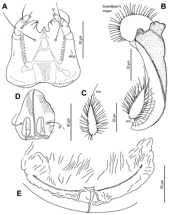 Insects 16 00896 g005