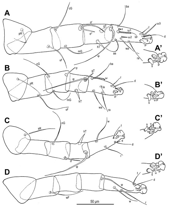 Insects 16 00896 g006