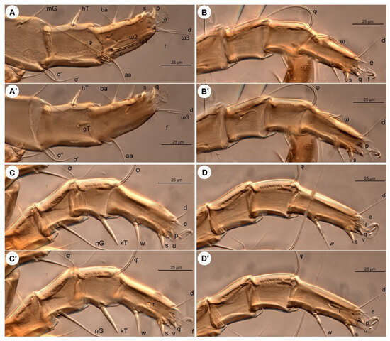 Insects 16 00896 g007