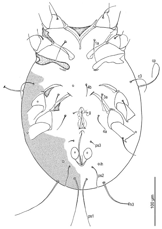 Insects 16 00896 g009