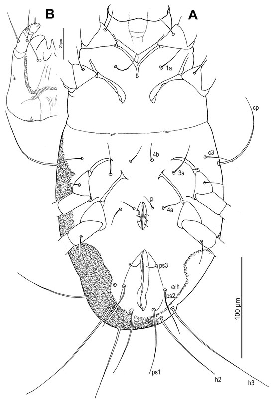 Insects 16 00896 g015