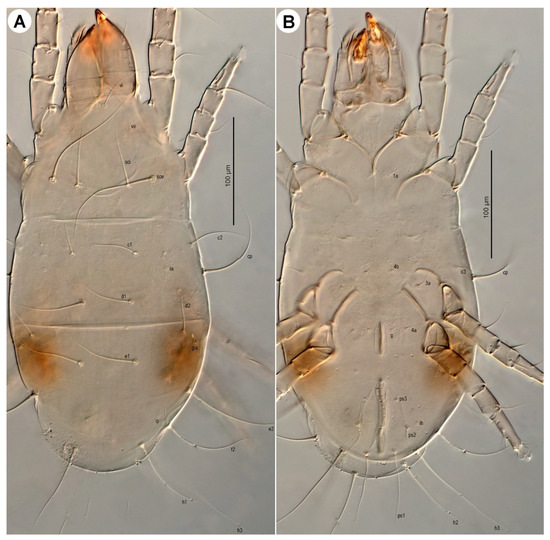 Insects 16 00896 g016