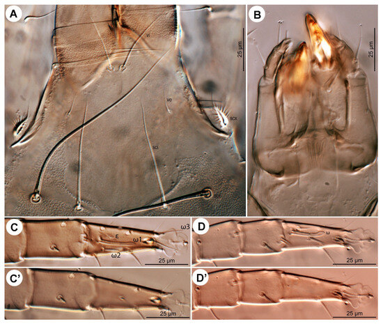 Insects 16 00896 g017