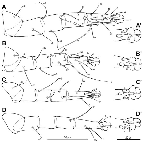 Insects 16 00896 g018