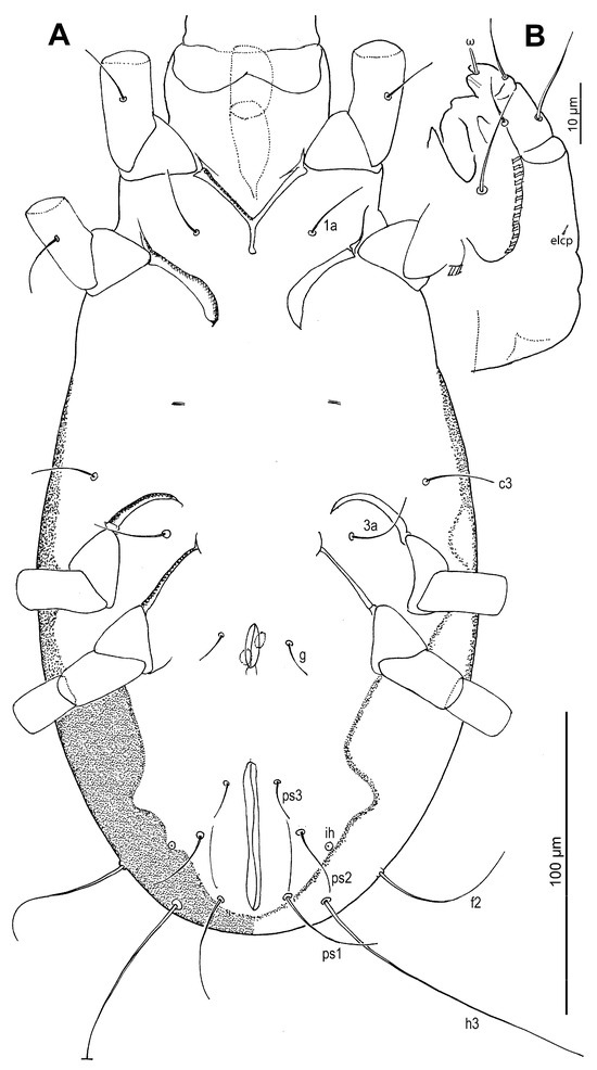 Insects 16 00896 g020