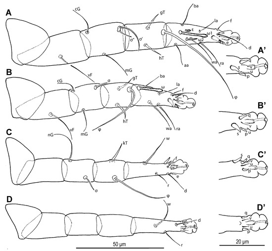Insects 16 00896 g022