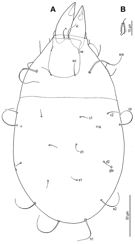 Insects 16 00896 g023