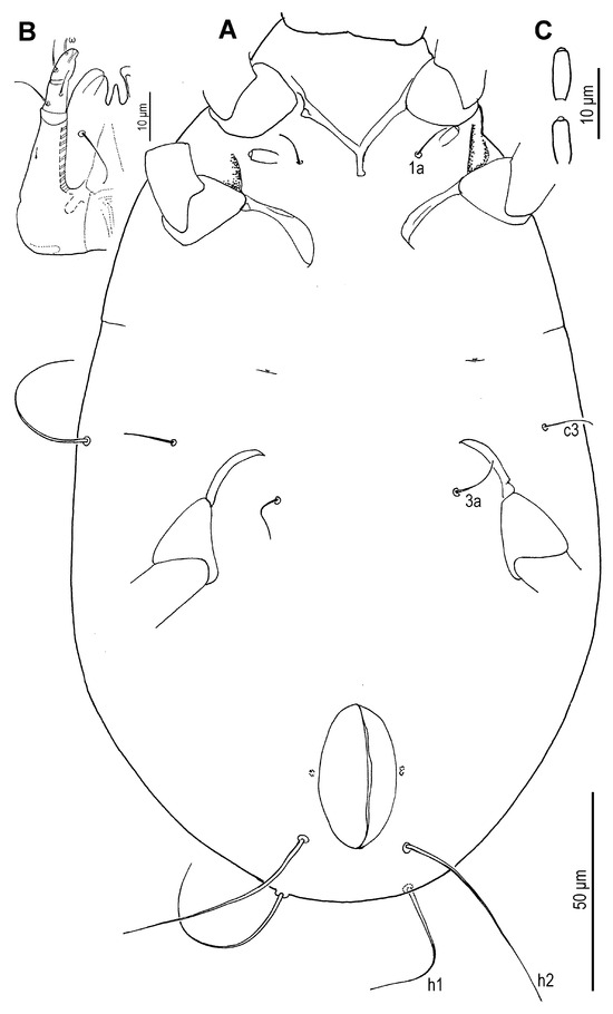 Insects 16 00896 g024