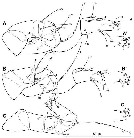 Insects 16 00896 g026