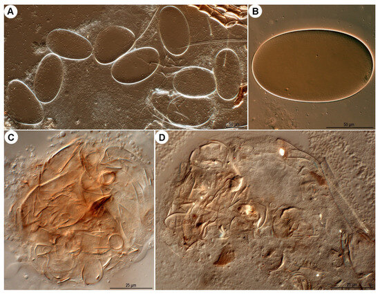 Insects 16 00896 g027