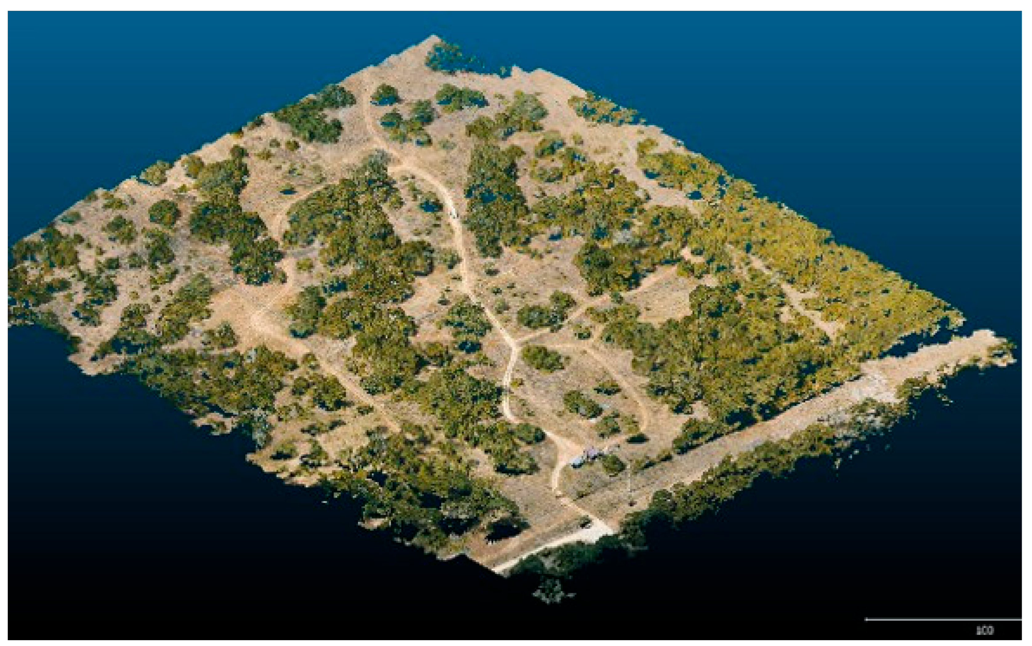 Insects 16 00897 g001 Insects 16 00897 g001