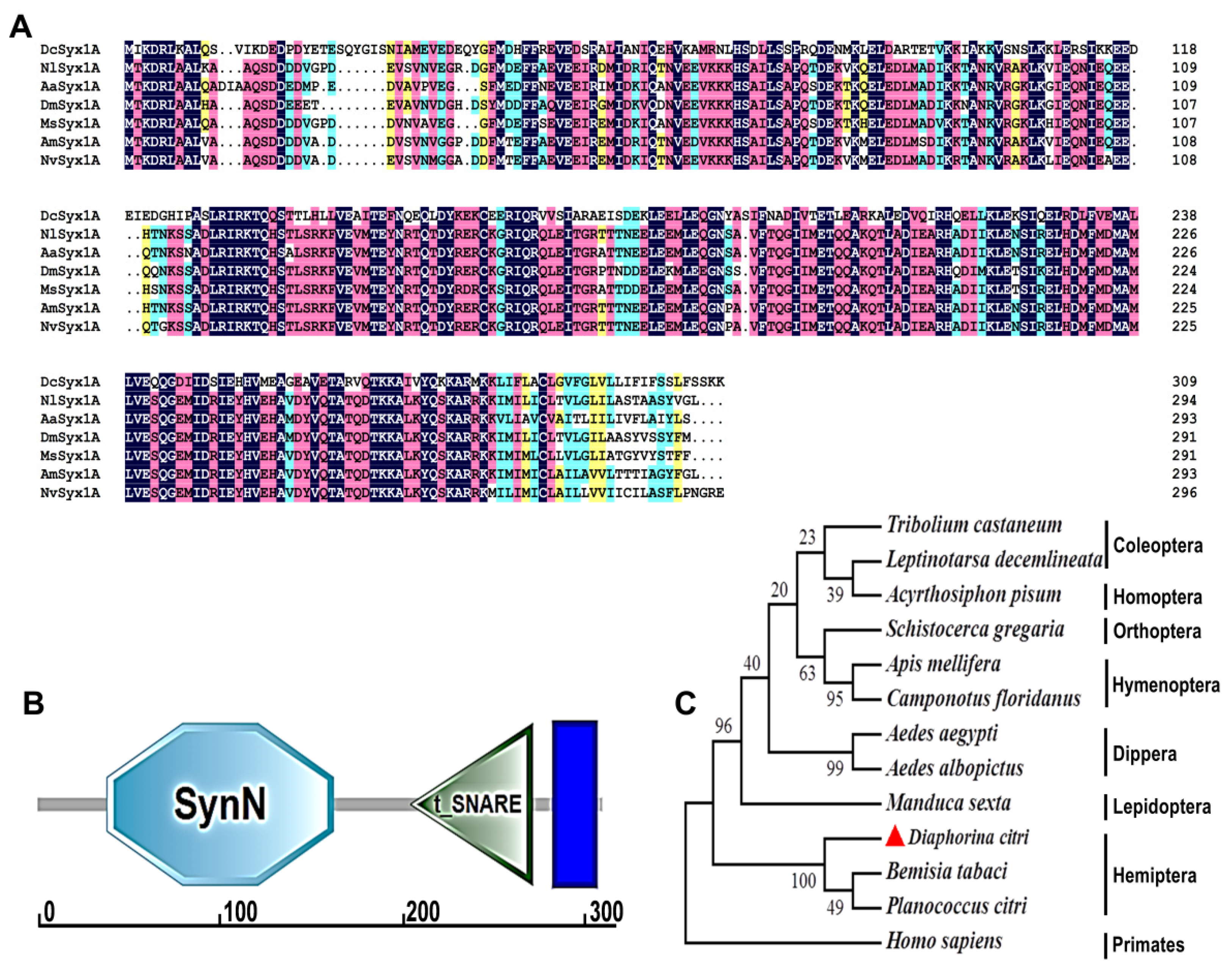 Insects 16 00901 g001