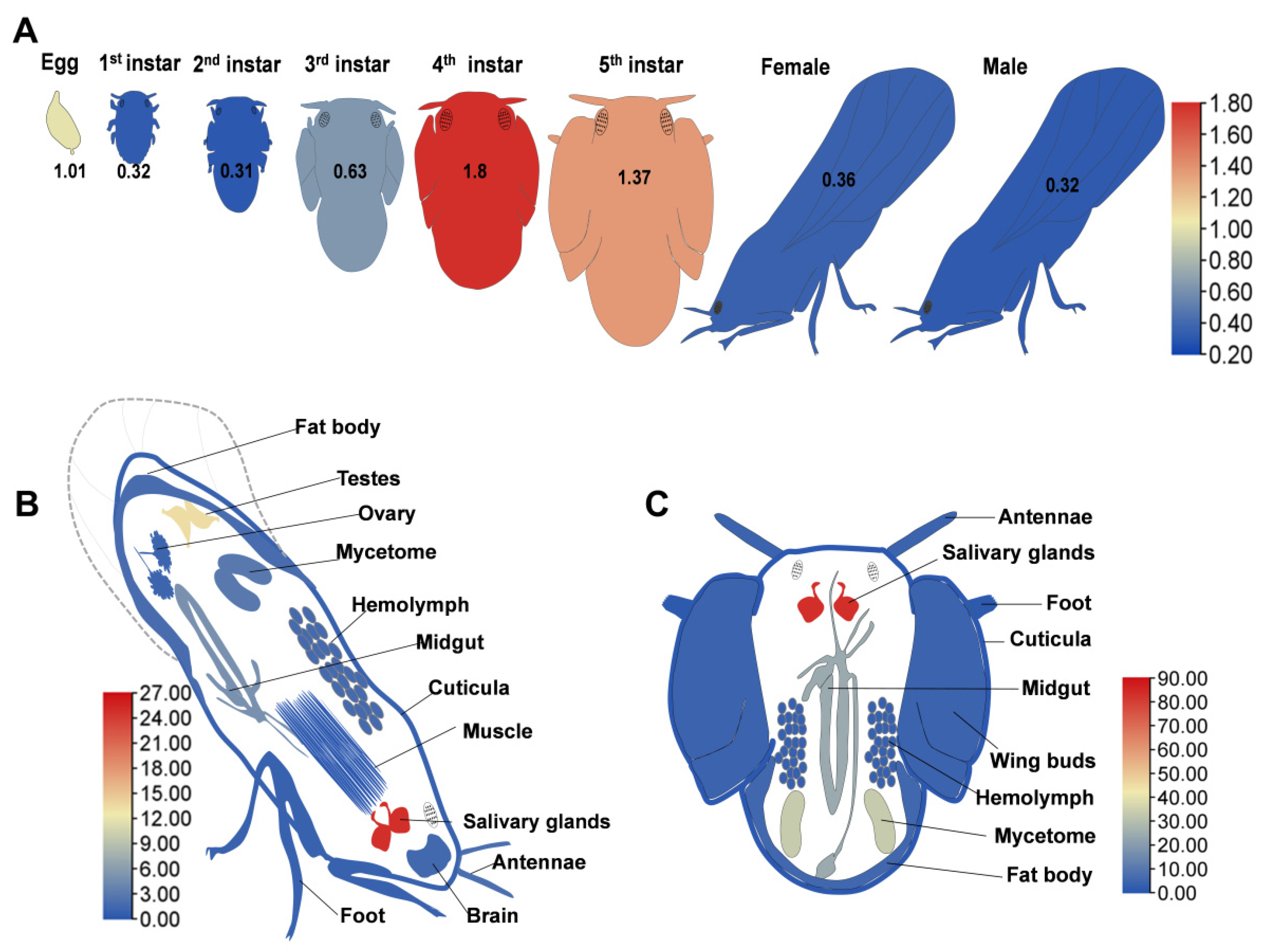 Insects 16 00901 g002