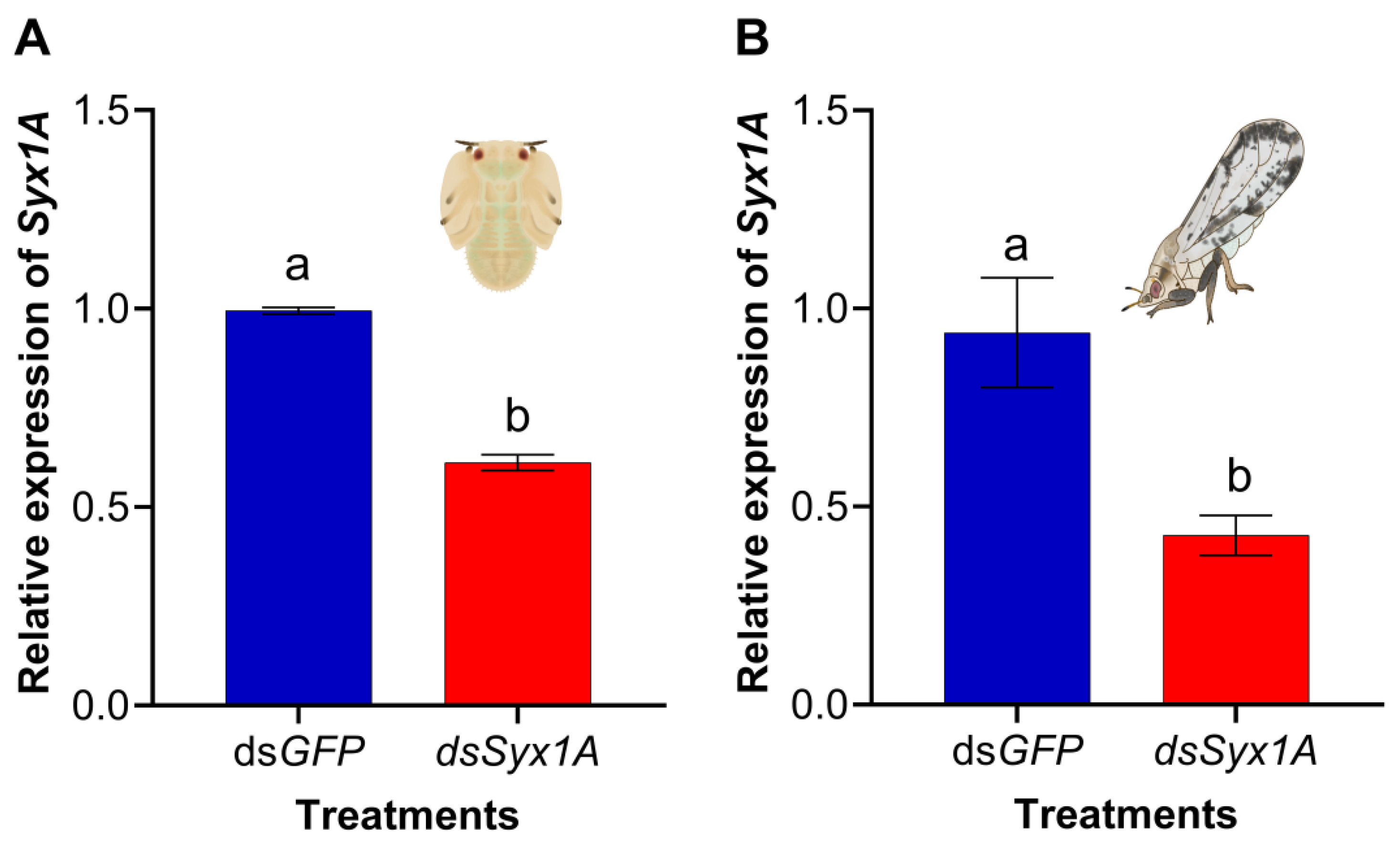 Insects 16 00901 g003