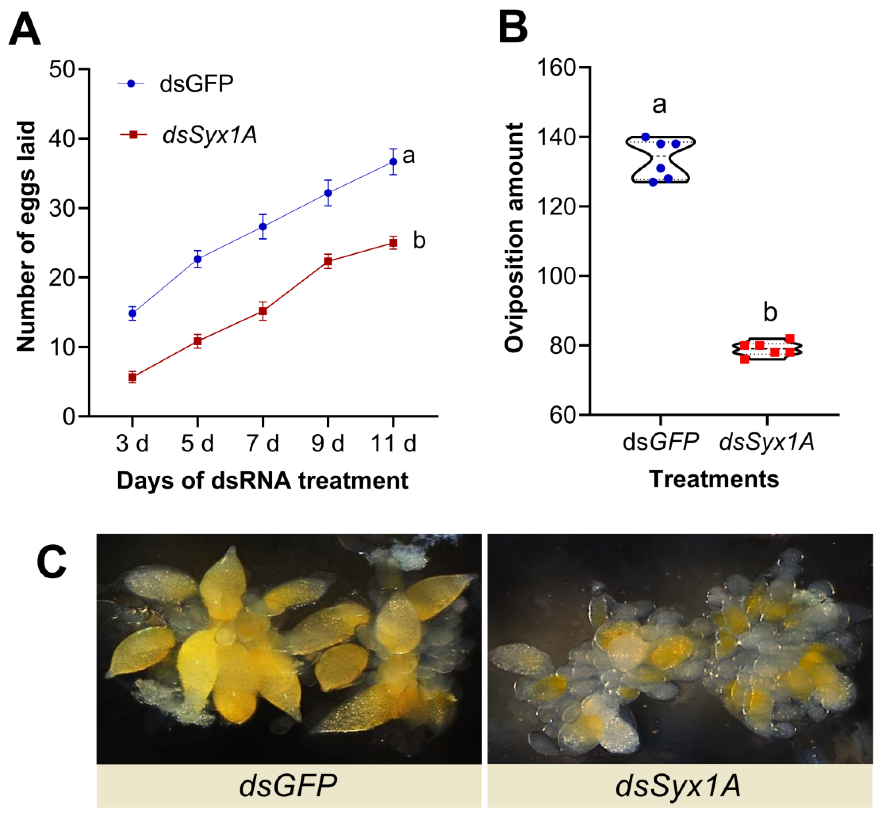 Insects 16 00901 g005