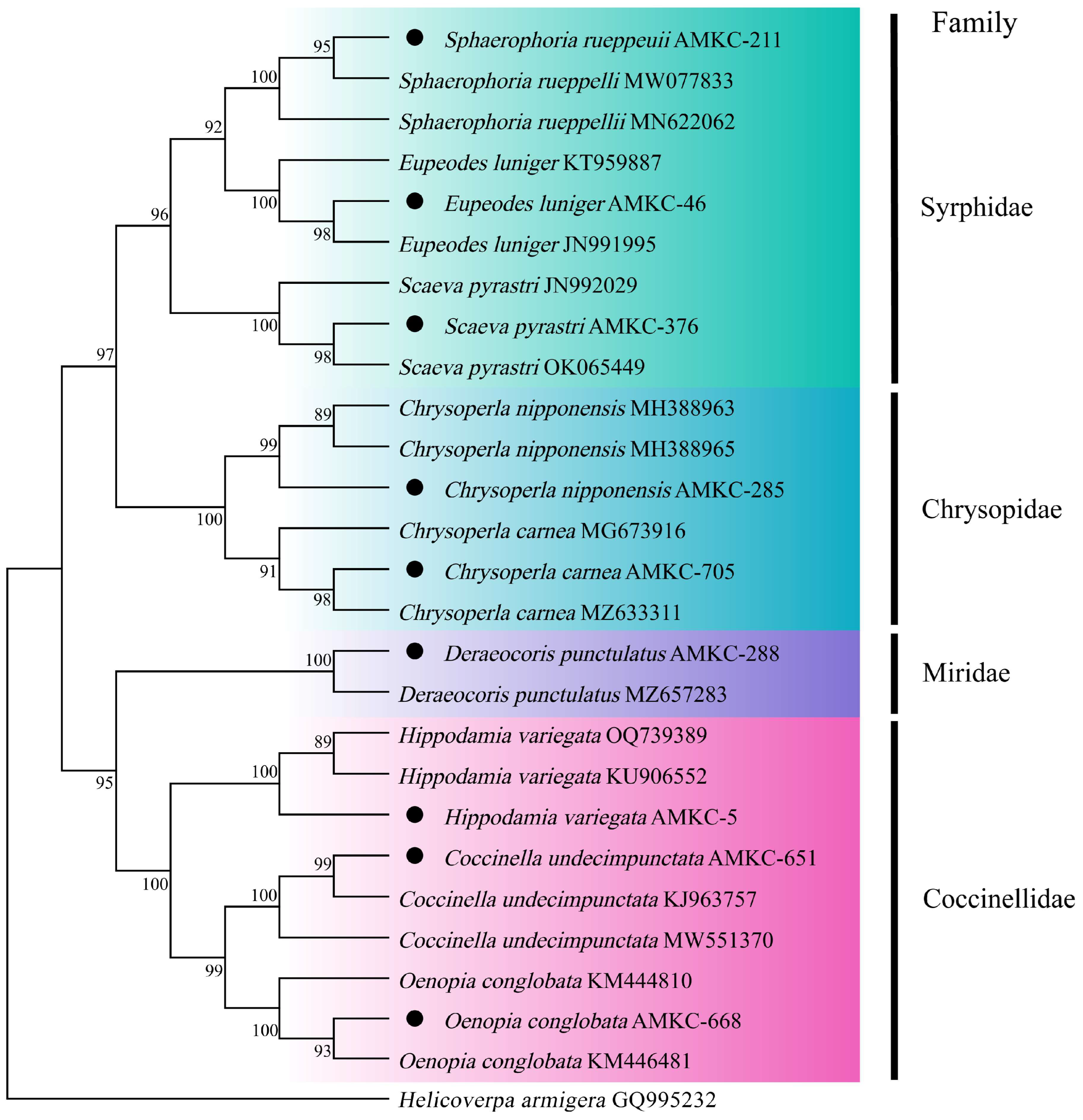 Insects 16 00903 g001