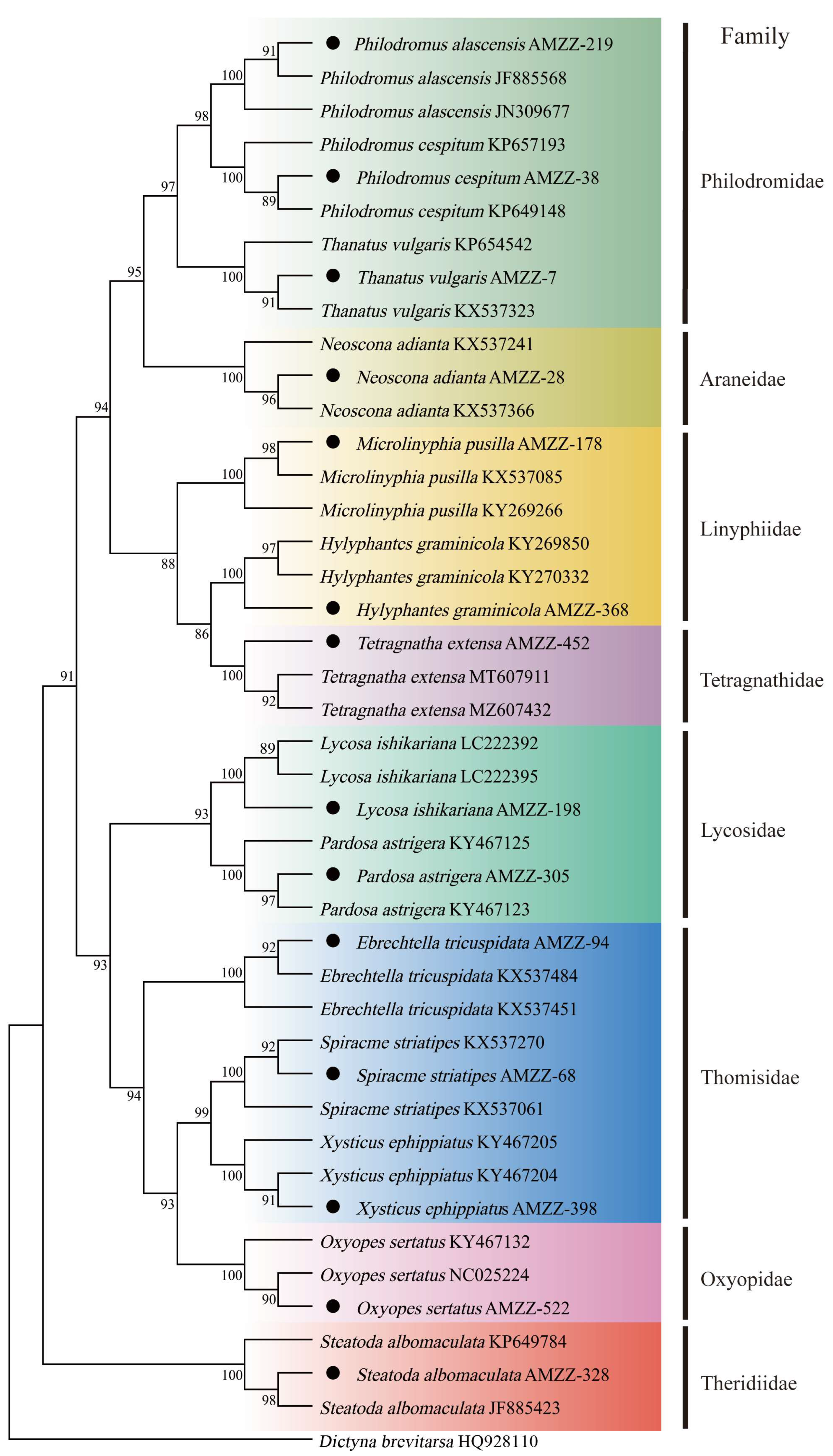 Insects 16 00903 g002
