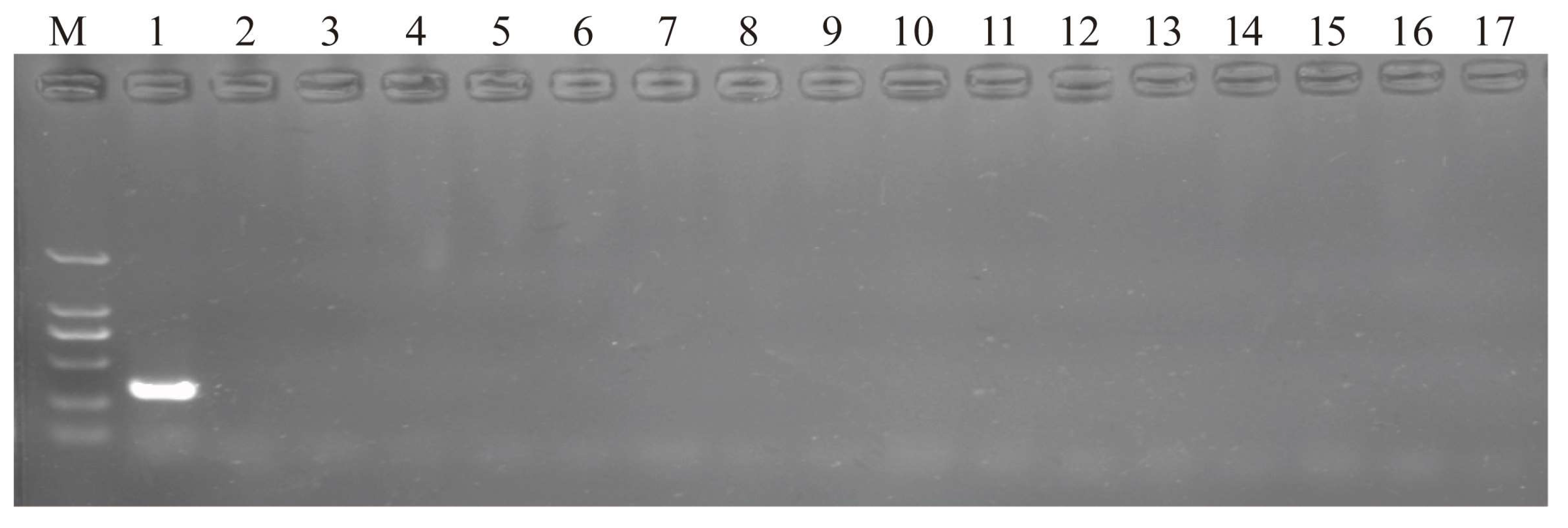 Insects 16 00903 g004