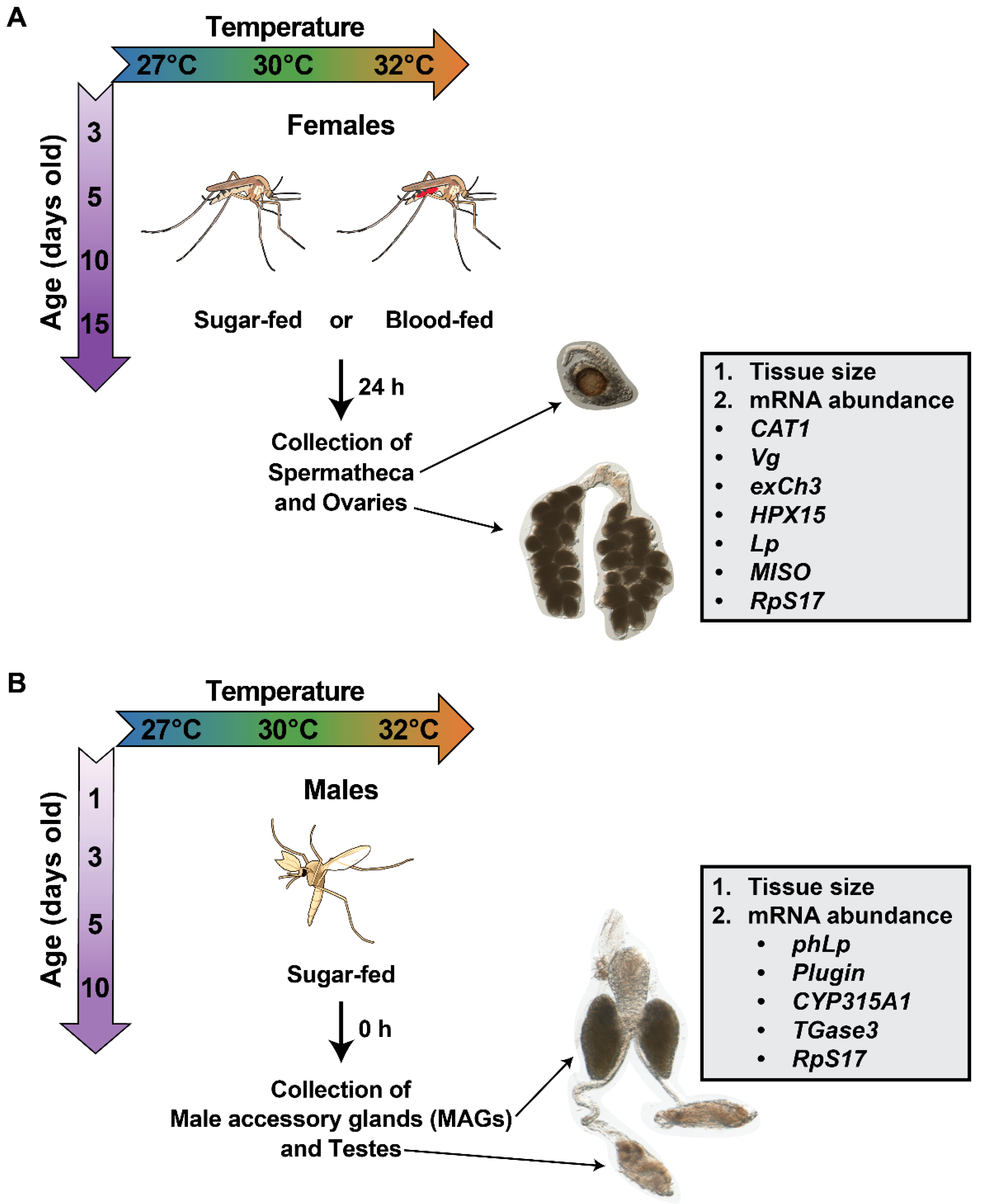 Insects 16 00921 g001