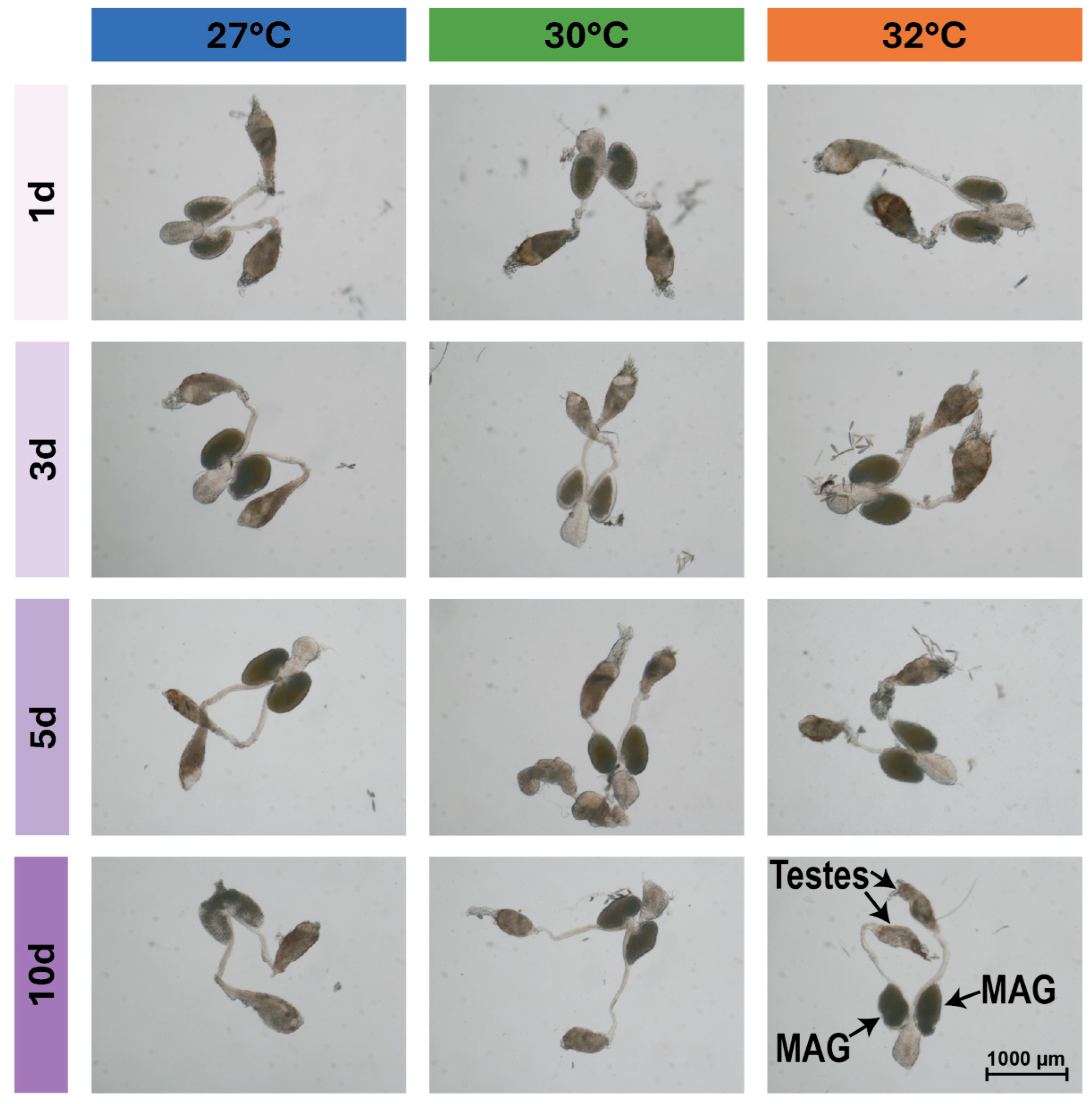 Insects 16 00921 g005