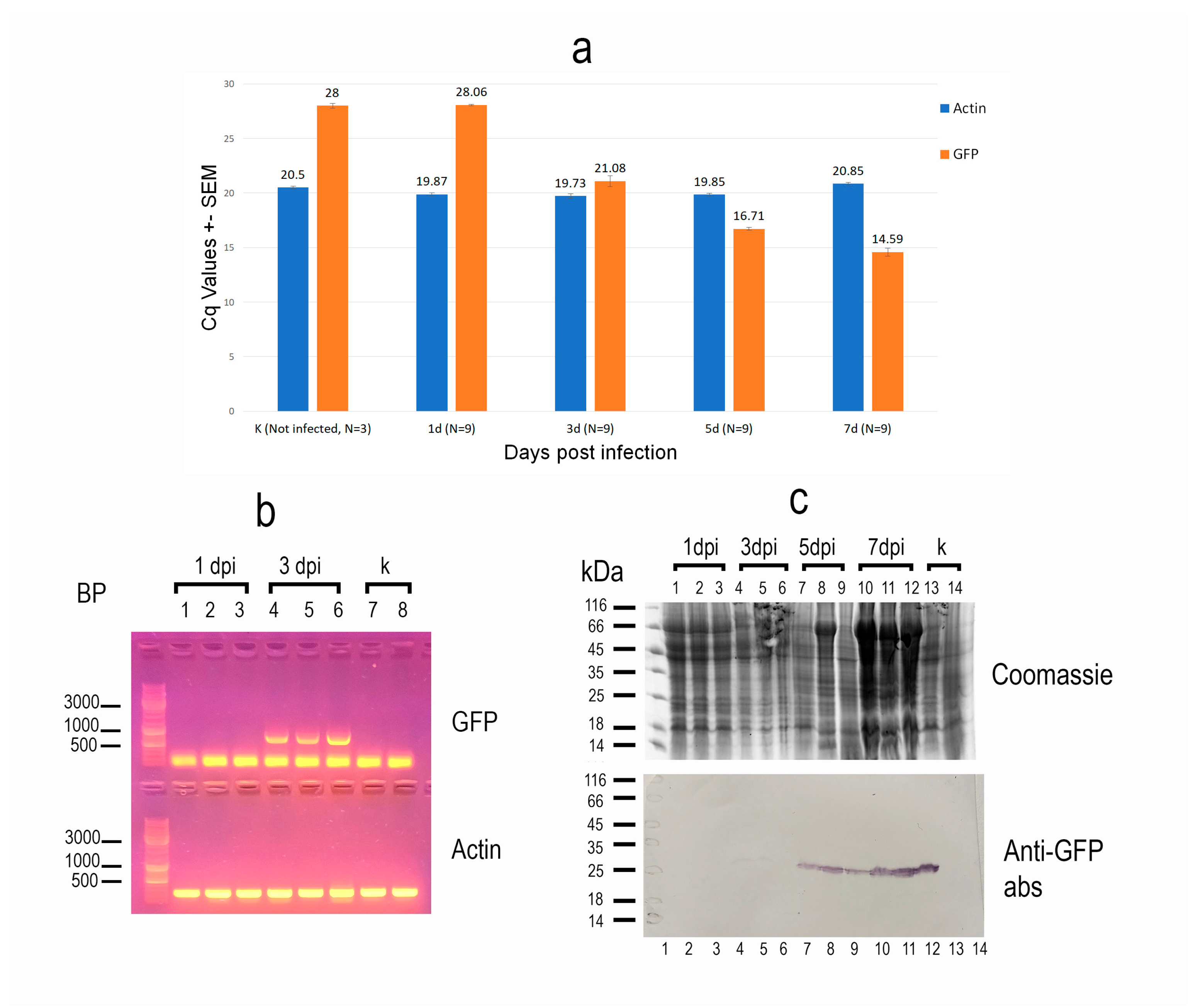 Insects 16 00923 g002