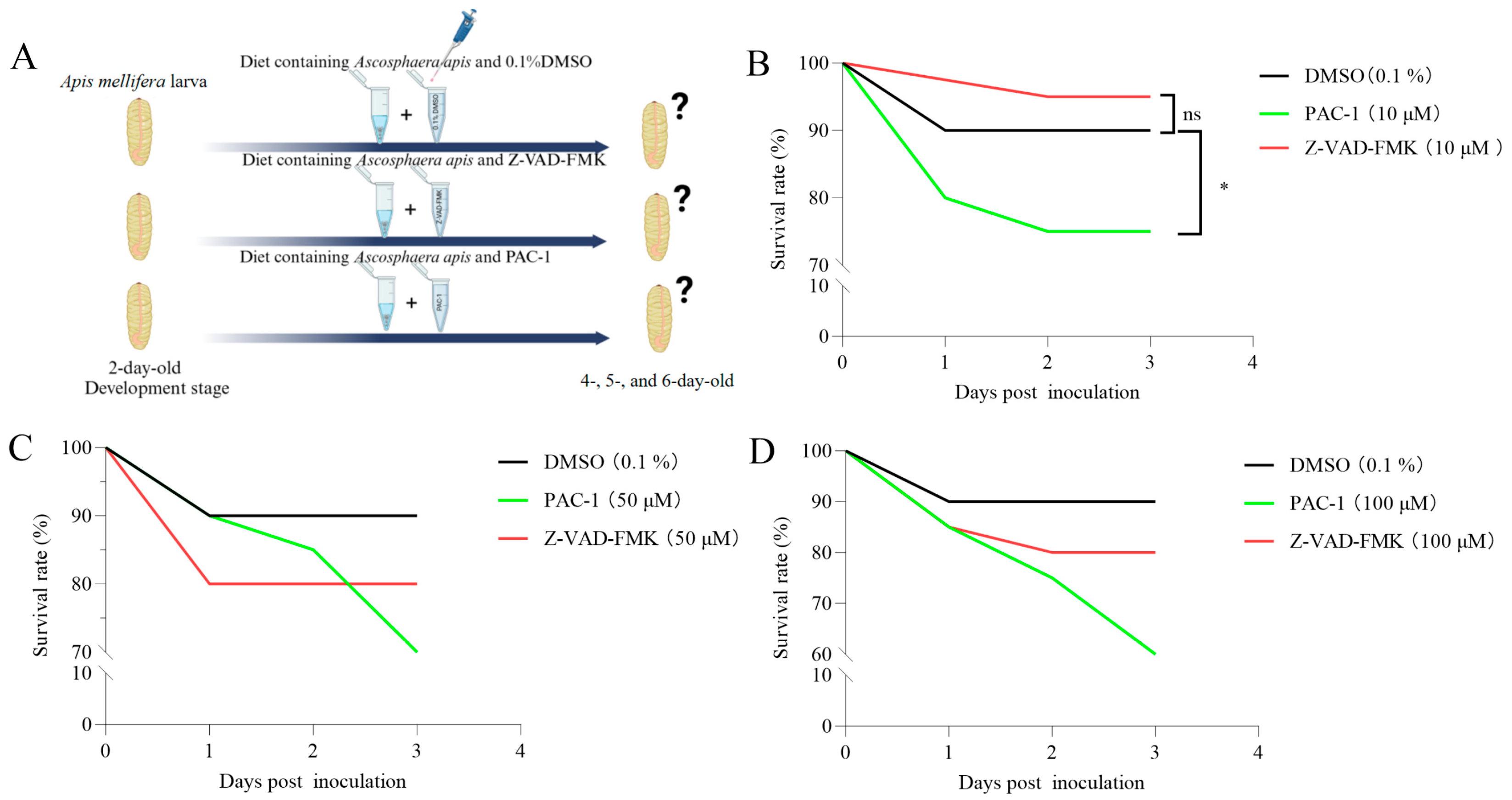 Insects 16 00925 g003