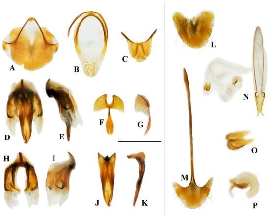 Insects 16 00941 g003