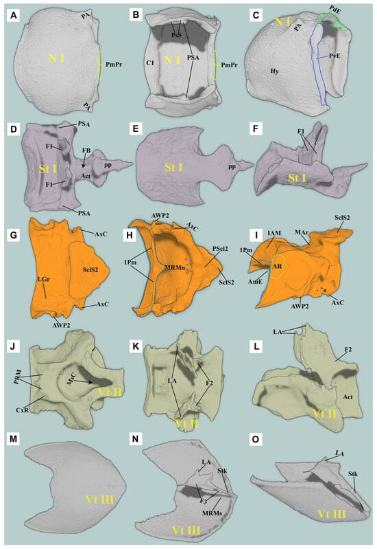 Insects 16 00941 g006