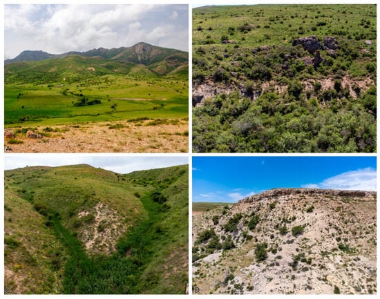 Insects 16 00943 g003