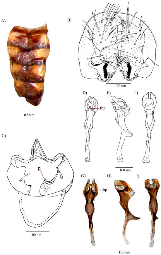Insects 16 00944 g003