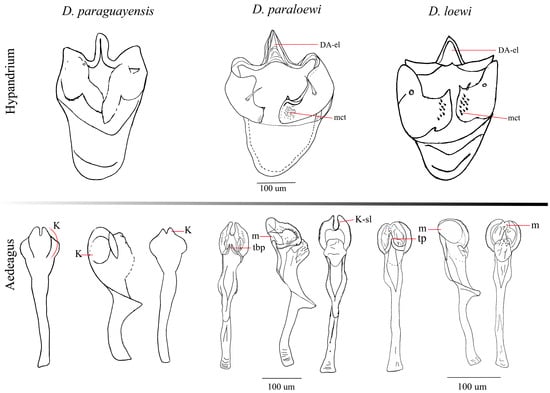 Insects 16 00944 g005