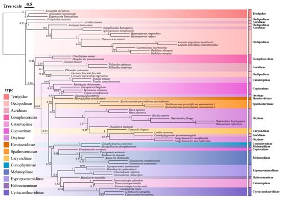 Insects 16 00947 g004