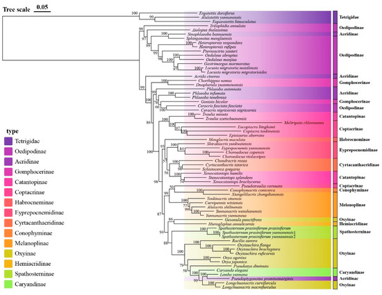 Insects 16 00947 g005