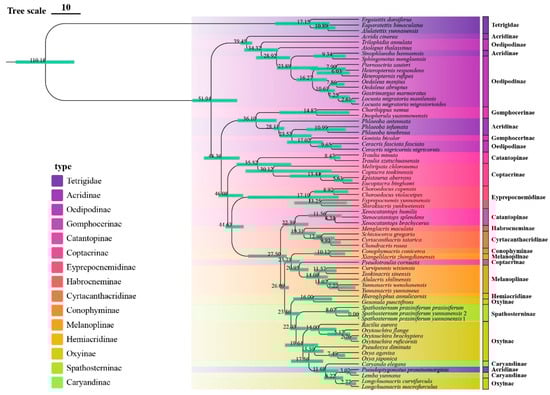 Insects 16 00947 g006