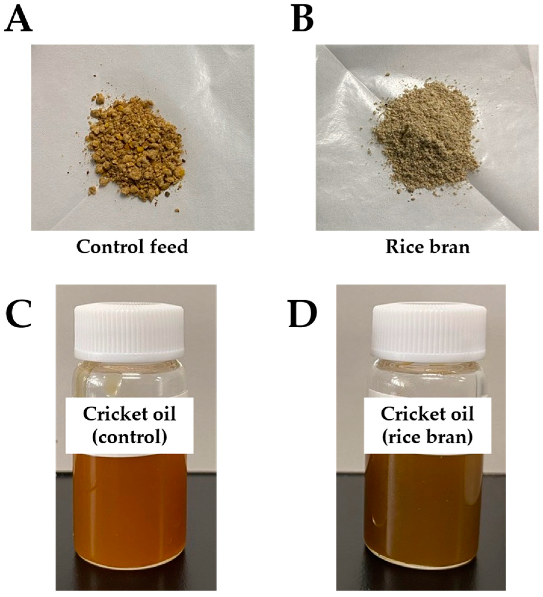 Insects 16 00951 g002