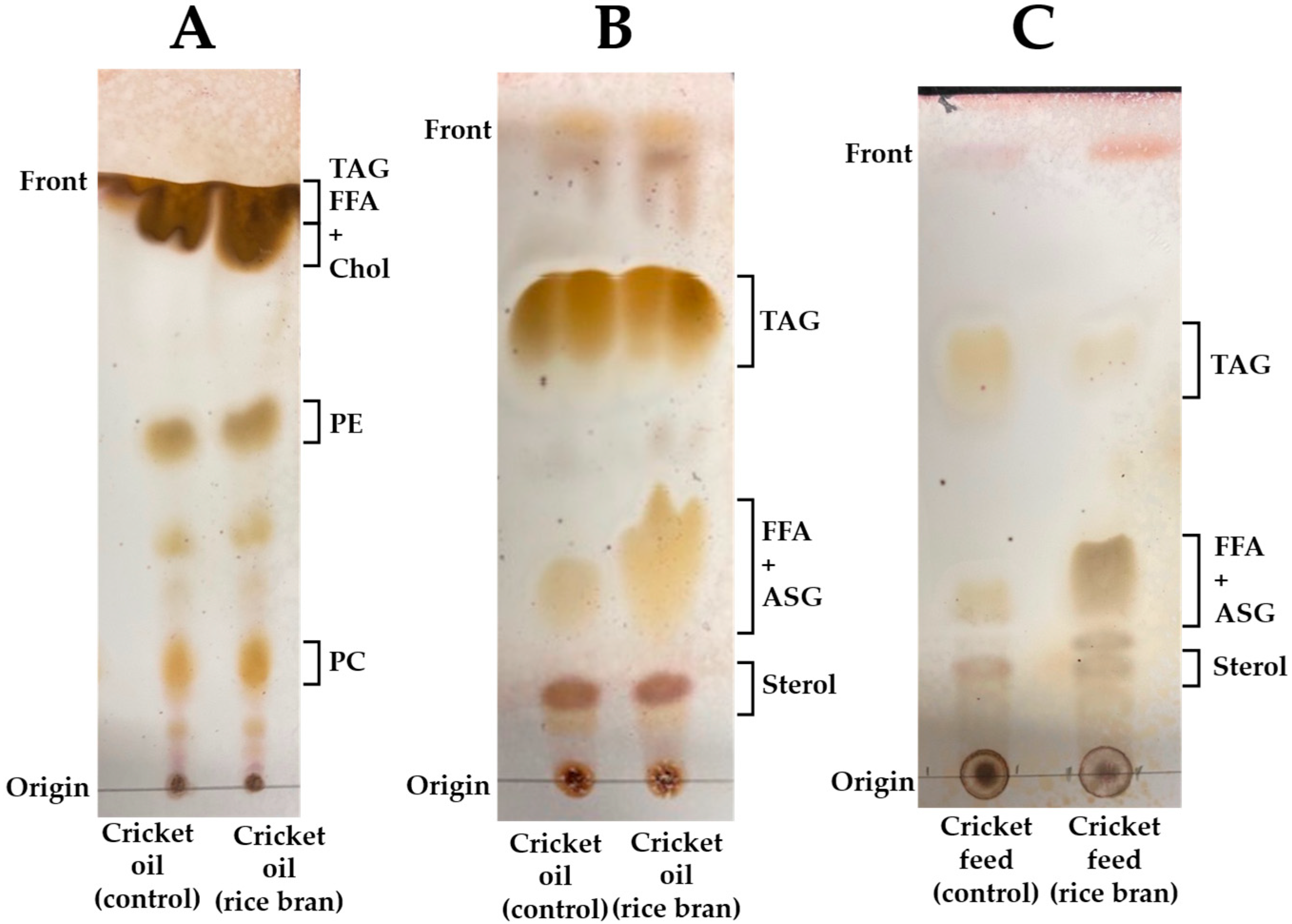 Insects 16 00951 g003
