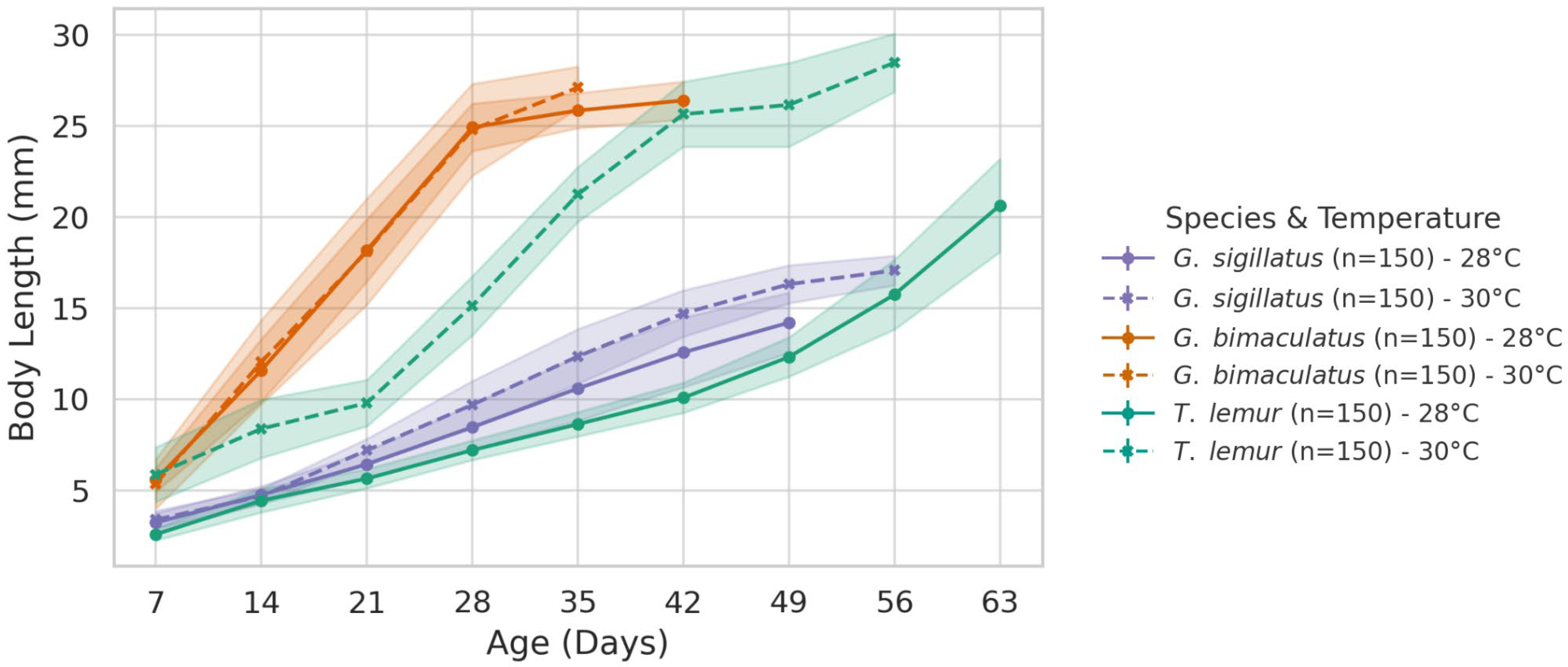 Insects 16 00960 g001