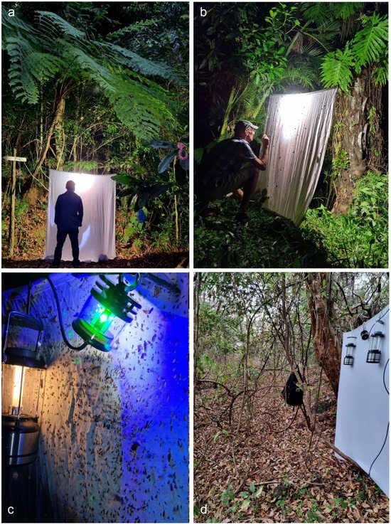 Insects 16 00964 g003