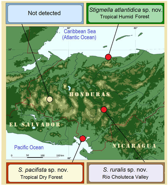 Insects 16 00964 g004