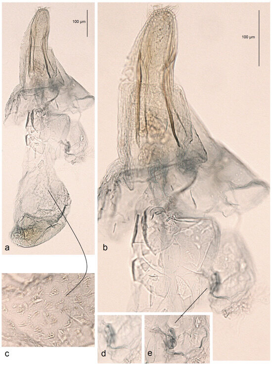 Insects 16 00964 g007